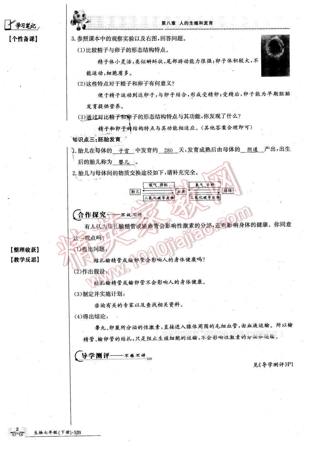 2016年金太阳导学案七年级生物下册苏教版 第2页