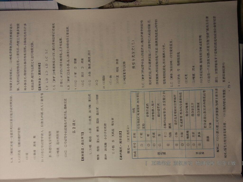 2015年能力培养与测试七年级生物学上册人教版 第25页