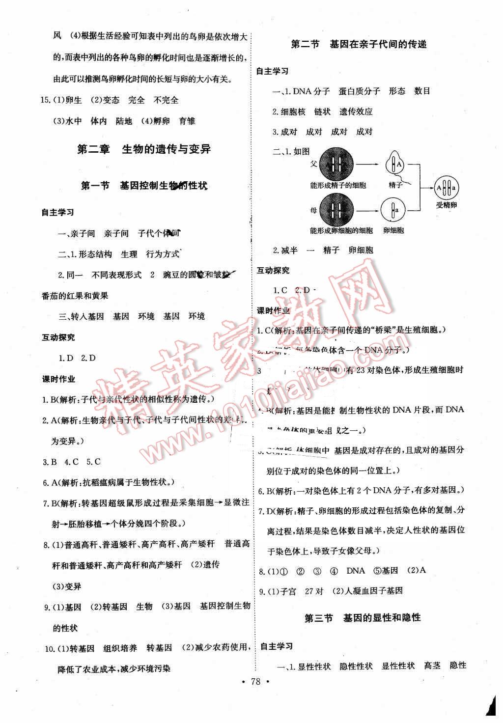 2016年长江全能学案同步练习册八年级生物学下册人教版 第4页