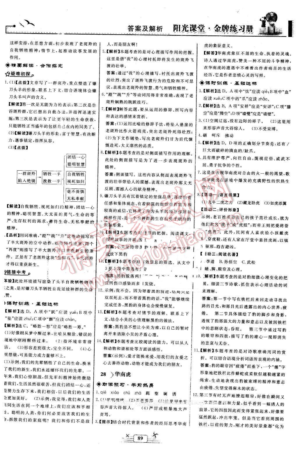 2016年阳光课堂金牌练习册七年级语文下册人教版福建专版 第17页