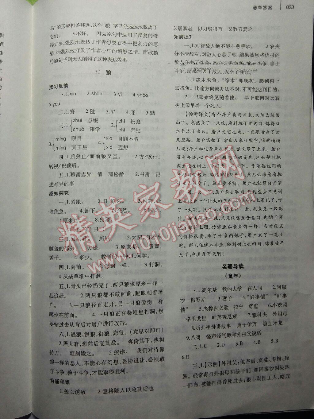 2015年基礎訓練七年級語文下冊人教版僅限河南省使用大象出版社 第23頁