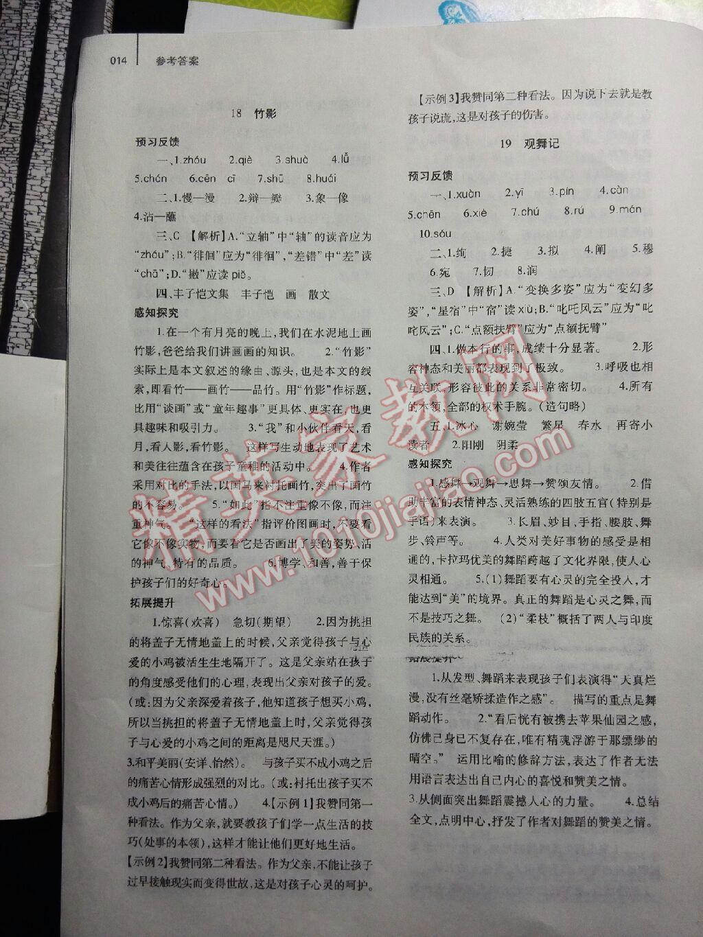 2015年基礎(chǔ)訓練七年級語文下冊人教版僅限河南省使用大象出版社 第14頁