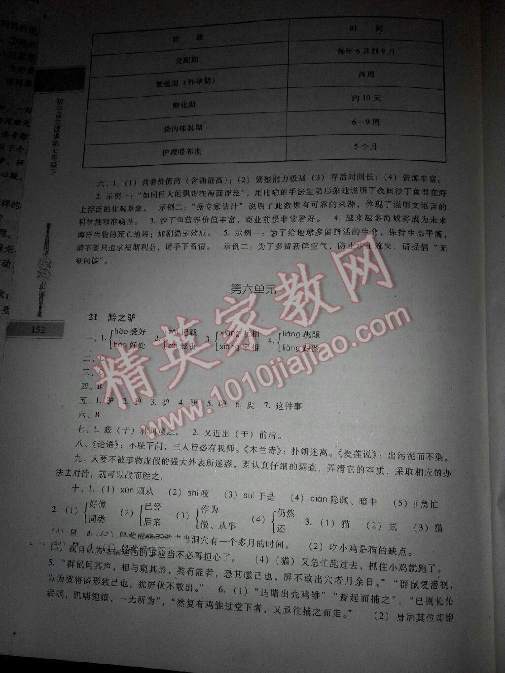 2015年初中語(yǔ)文課課練七年級(jí)下冊(cè) 第32頁(yè)