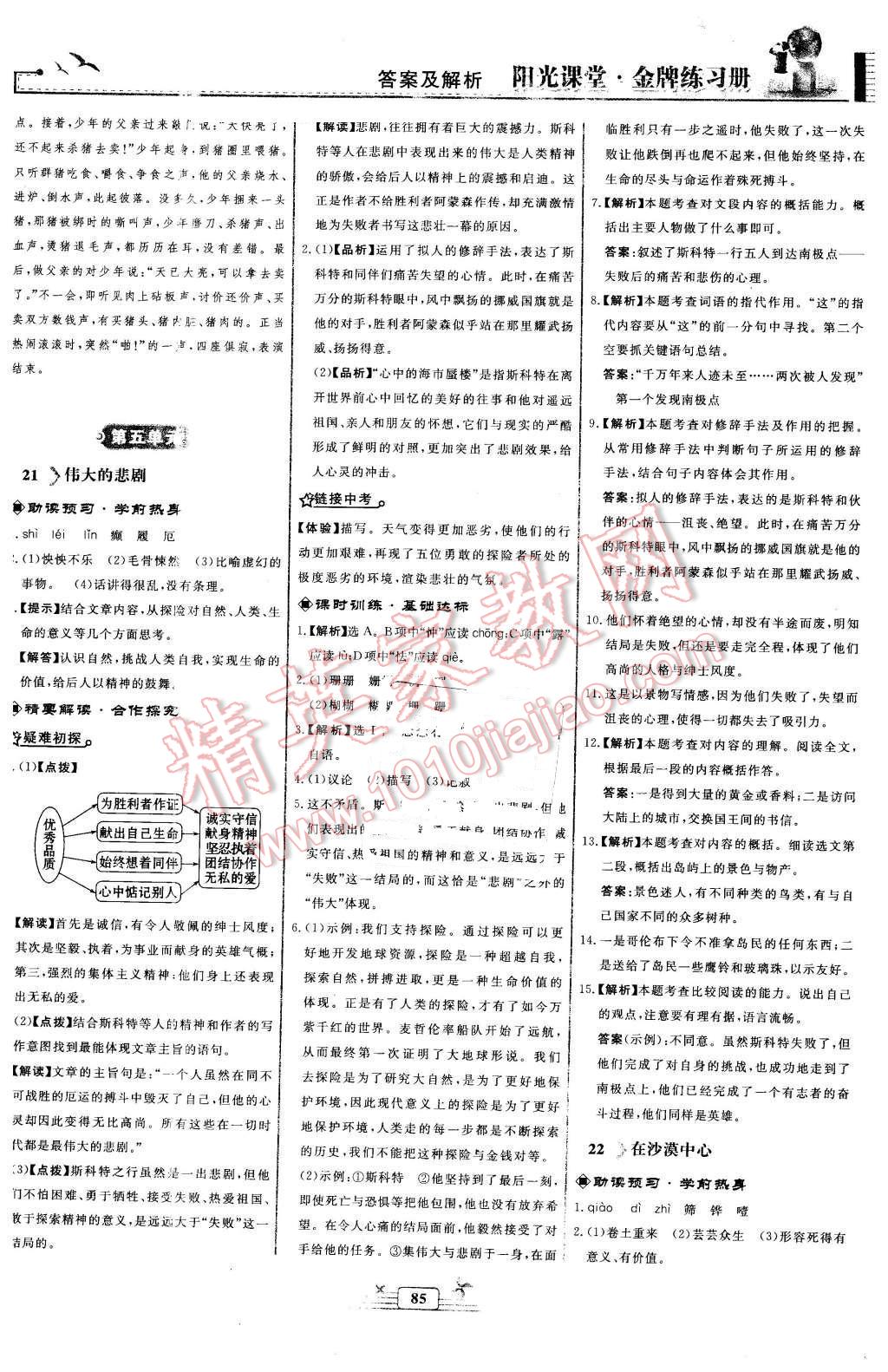 2016年阳光课堂金牌练习册七年级语文下册人教版福建专版 第13页