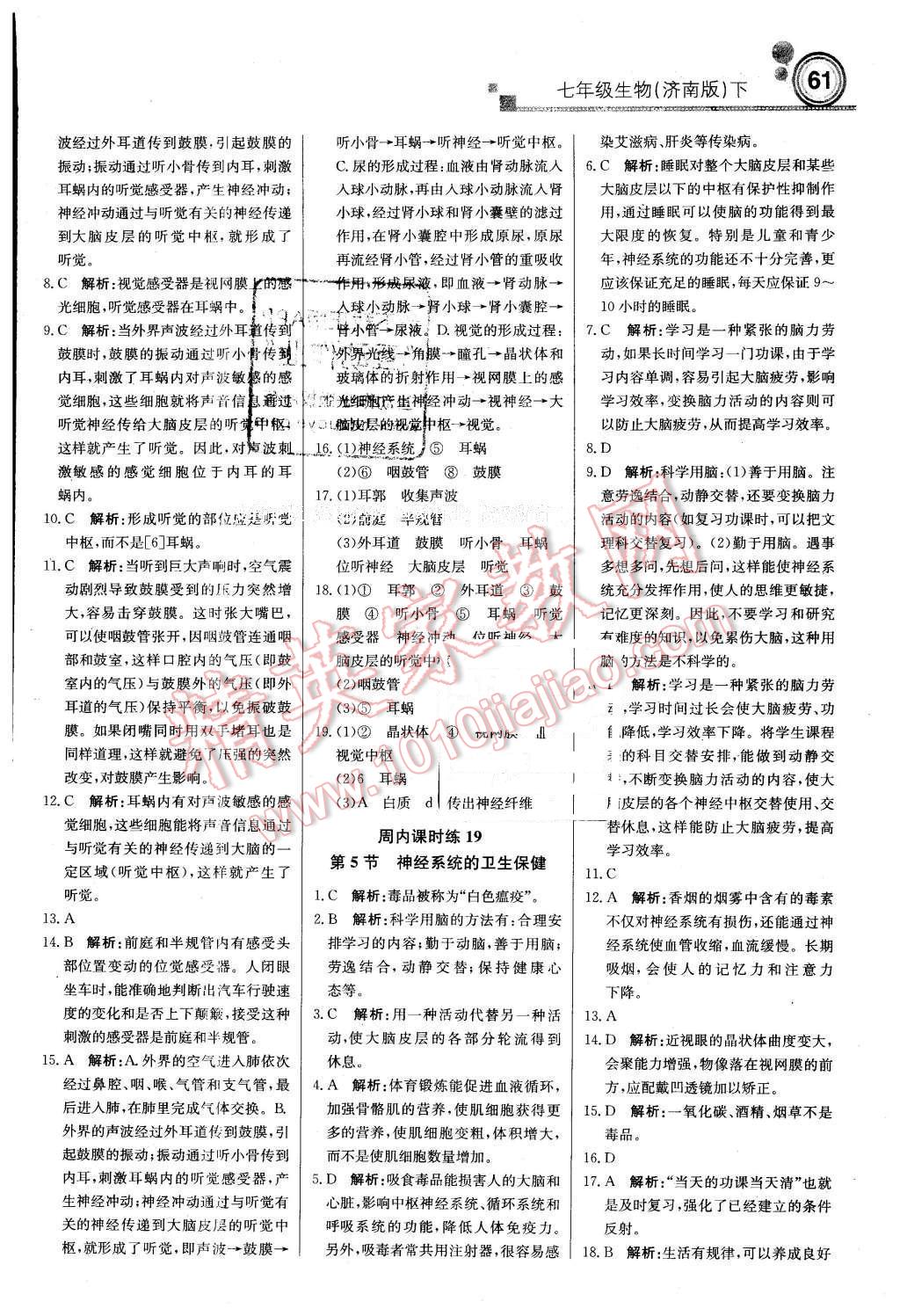 2016年輕巧奪冠周測月考直通中考七年級(jí)生物下冊濟(jì)南版 第13頁