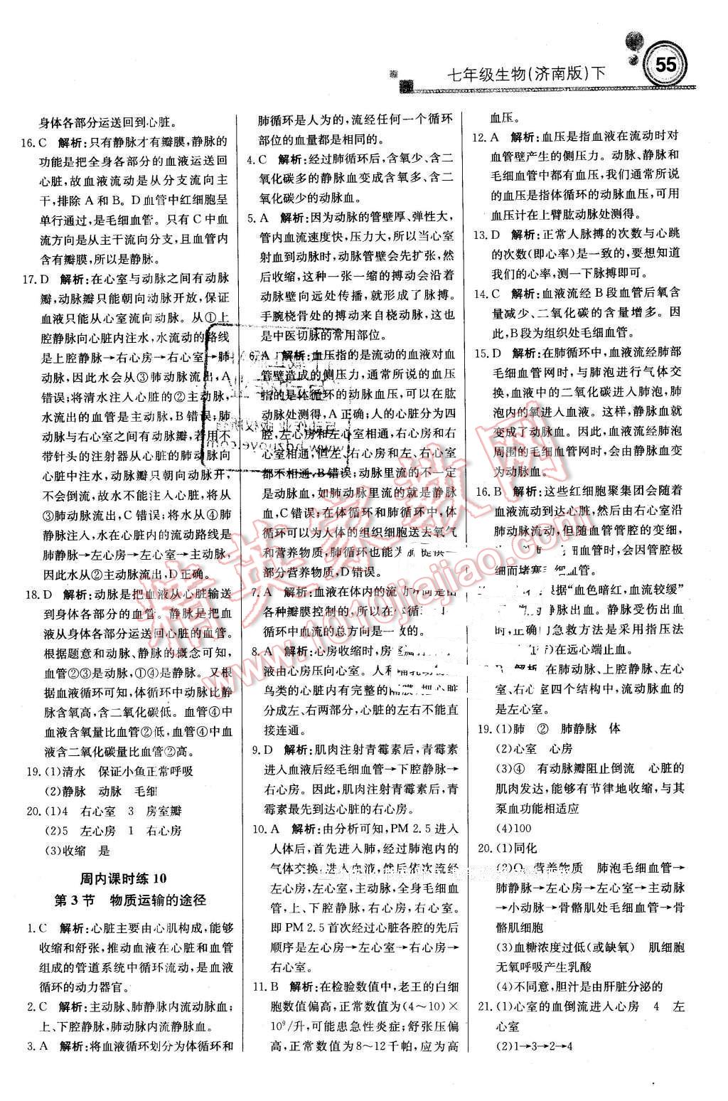 2016年輕巧奪冠周測月考直通中考七年級(jí)生物下冊濟(jì)南版 第7頁