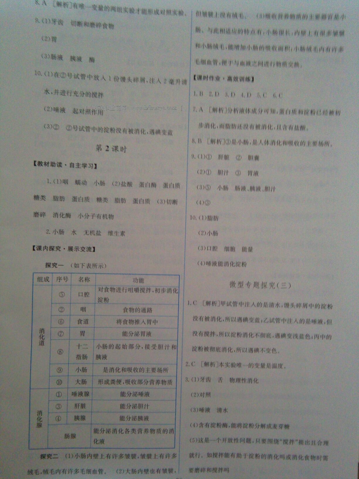 2015年能力培养与测试七年级英语下册人教版 第34页