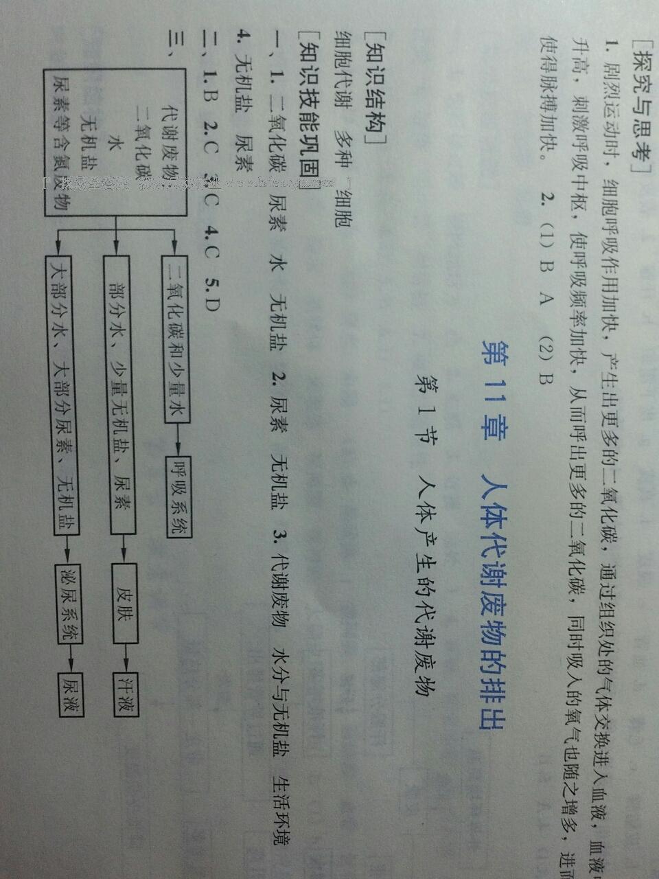 2015年新课程实践与探究丛书七年级生物下册北师大版 第17页