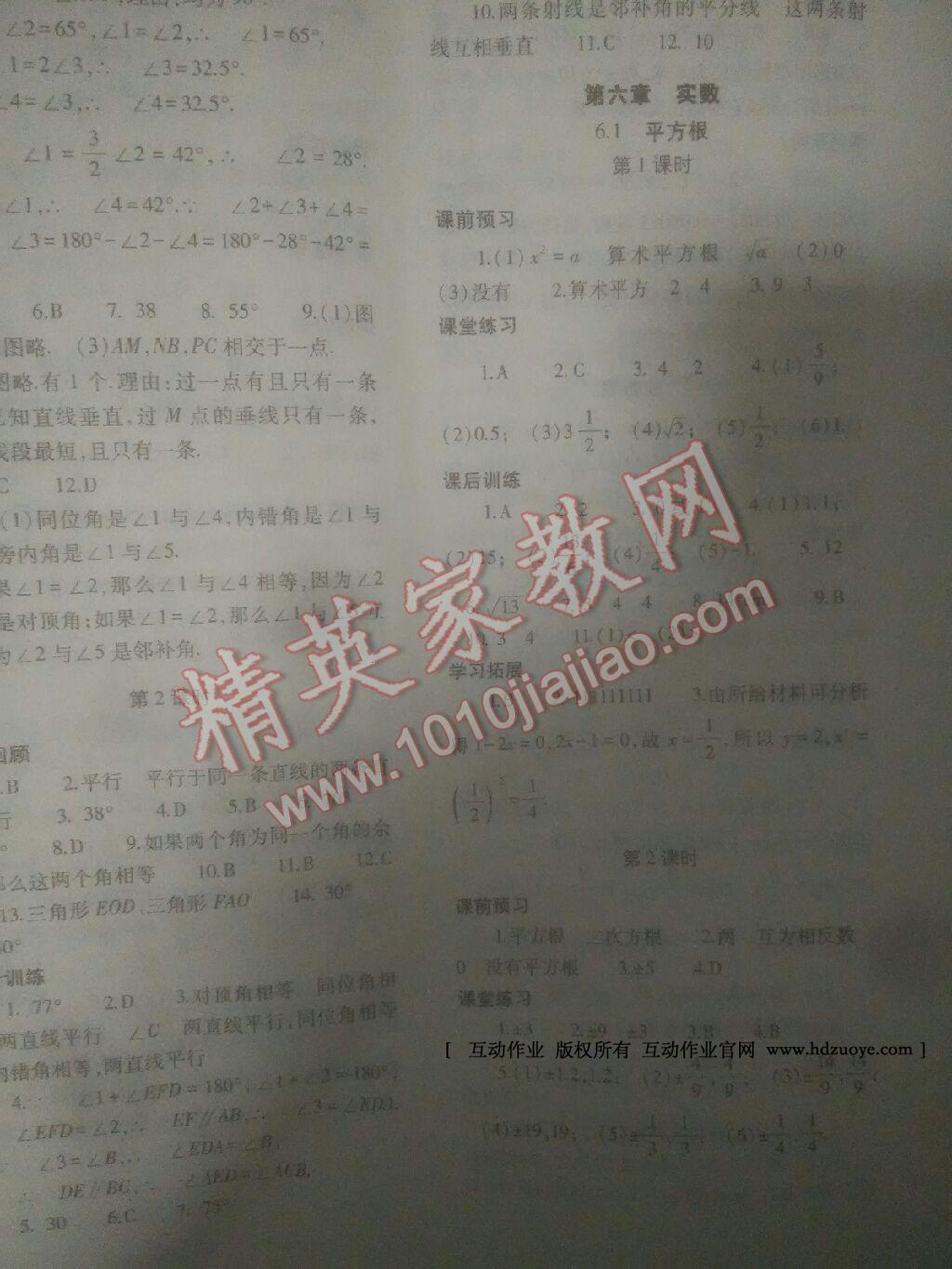 2014年基礎訓練七年級數(shù)學下冊人教版僅限河南省內使用大象出版社 第9頁