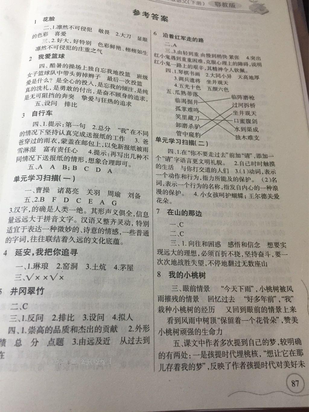 2016年長(zhǎng)江全能學(xué)案同步練習(xí)冊(cè)六年級(jí)語文下冊(cè)鄂教版 第19頁