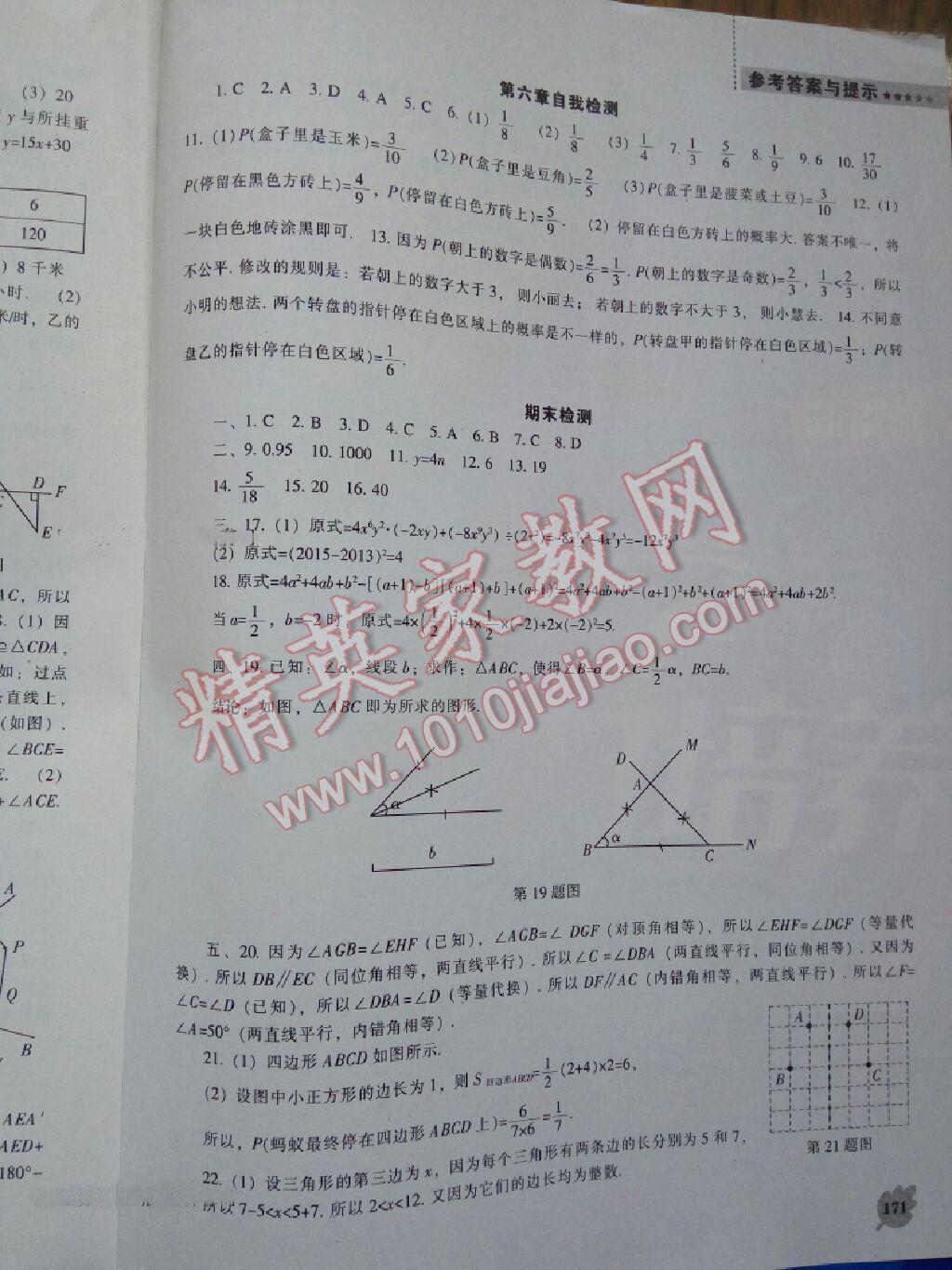 2014年新课程数学能力培养七年级下册北师大版 第15页