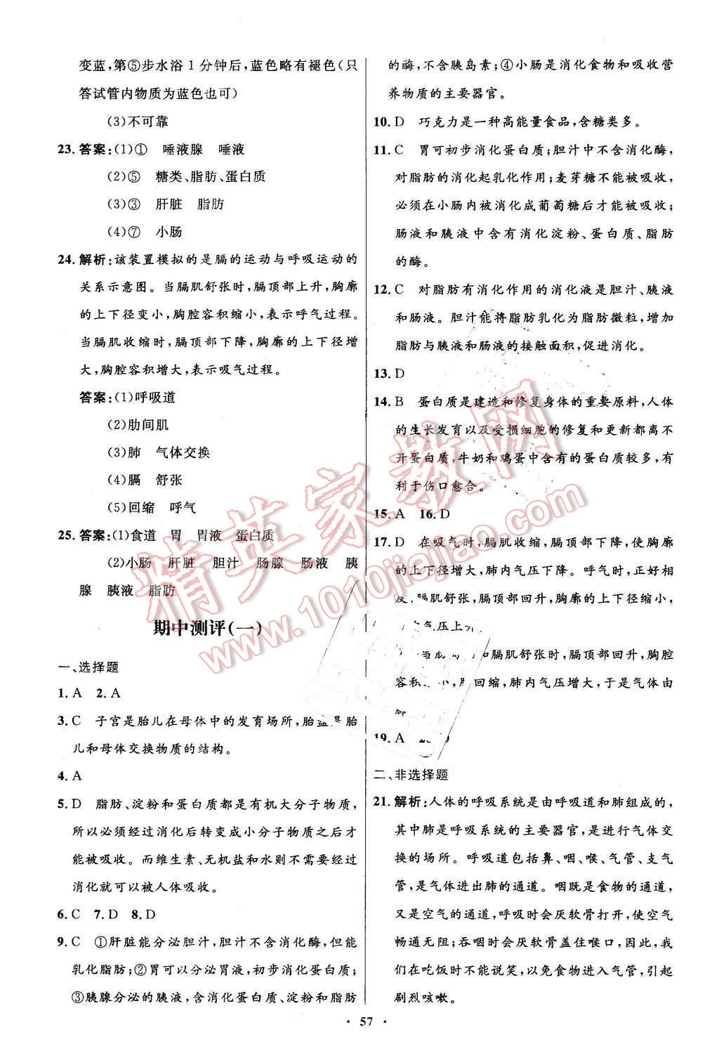 2016年初中同步测控优化设计七年级生物学下册人教版 第25页