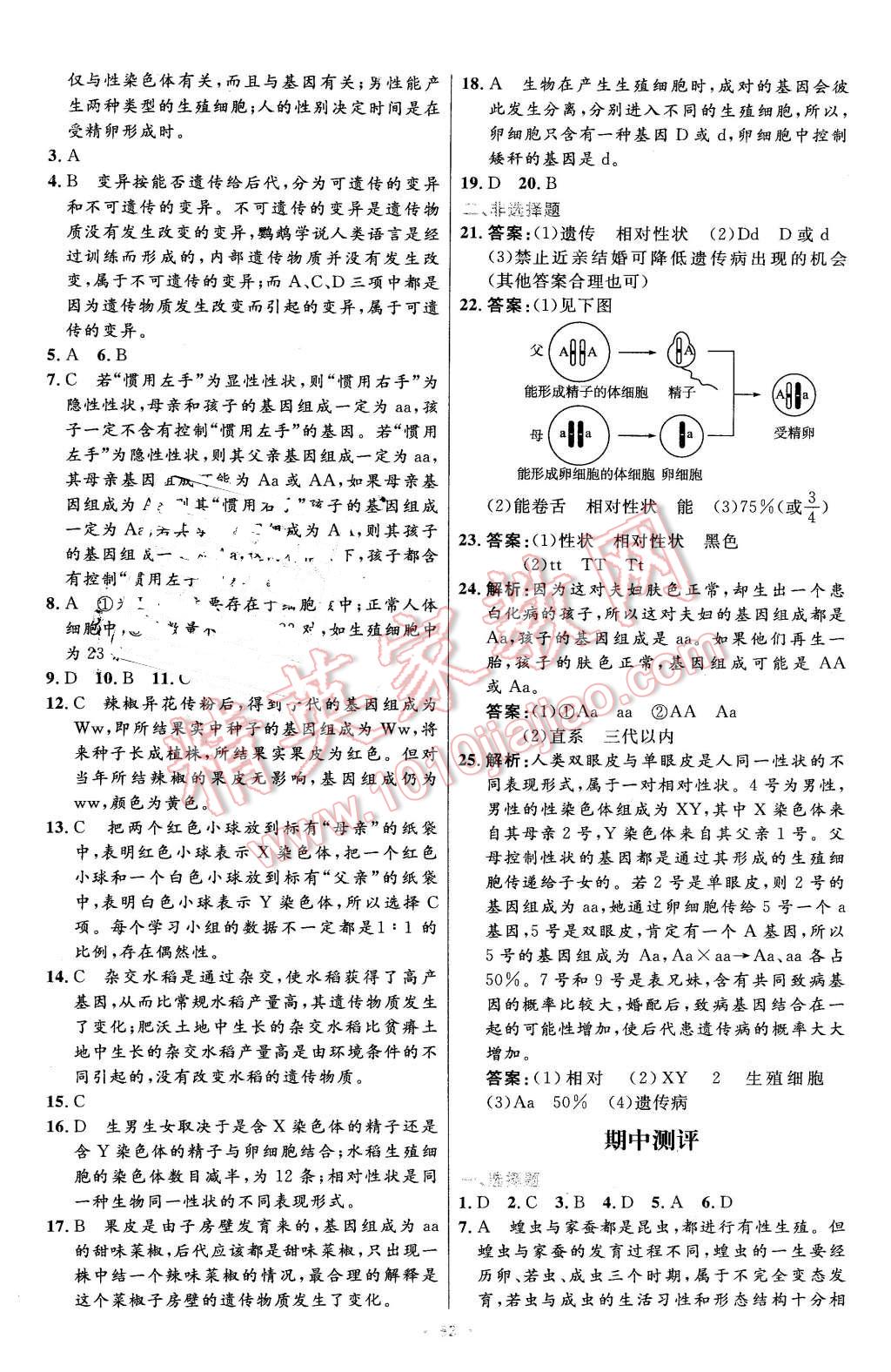 2016年初中同步測控優(yōu)化設(shè)計(jì)八年級生物學(xué)下冊人教版X 第28頁