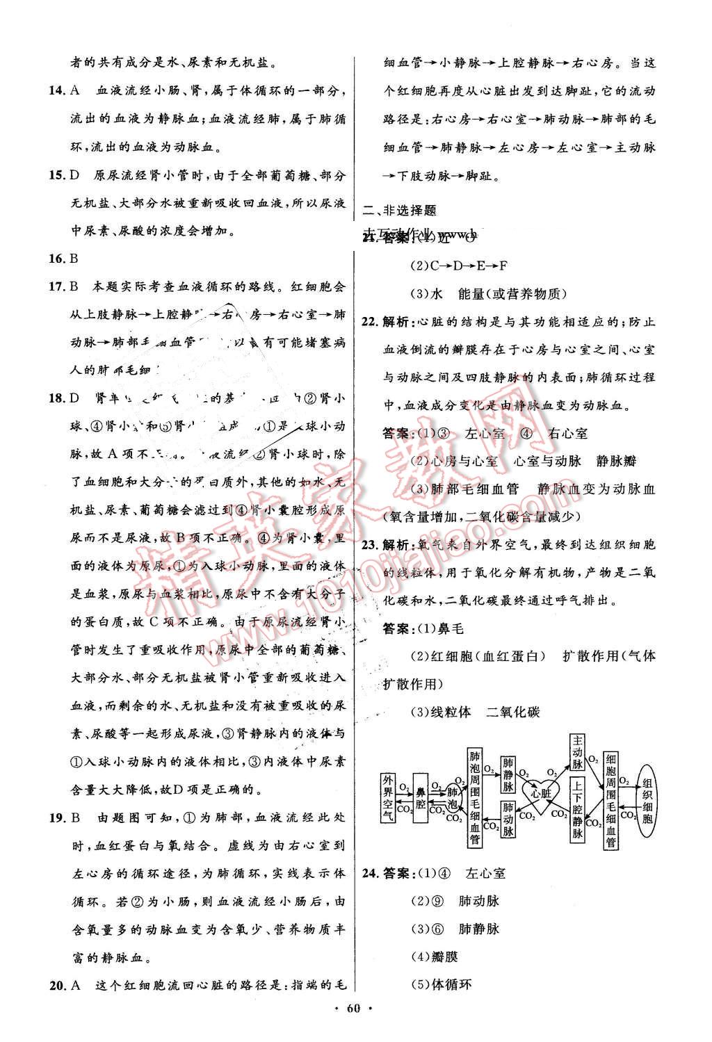 2016年初中同步测控优化设计七年级生物学下册人教版 第28页