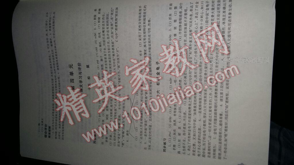 2015年學(xué)習(xí)與評(píng)價(jià)七年級(jí)語(yǔ)文下冊(cè)蘇教版鳳凰教育出版社 第56頁(yè)