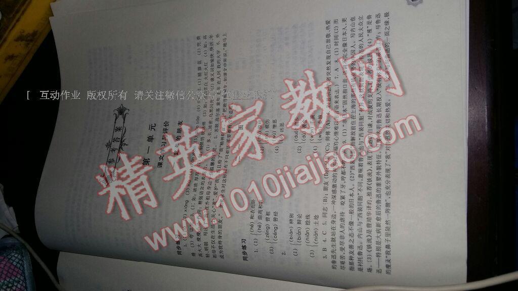 2015年學(xué)習(xí)與評(píng)價(jià)七年級(jí)語(yǔ)文下冊(cè)蘇教版鳳凰教育出版社 第47頁(yè)