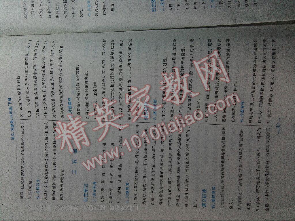 2015年新編基礎(chǔ)訓(xùn)練八年級(jí)語文下冊(cè)蘇教版 第58頁(yè)