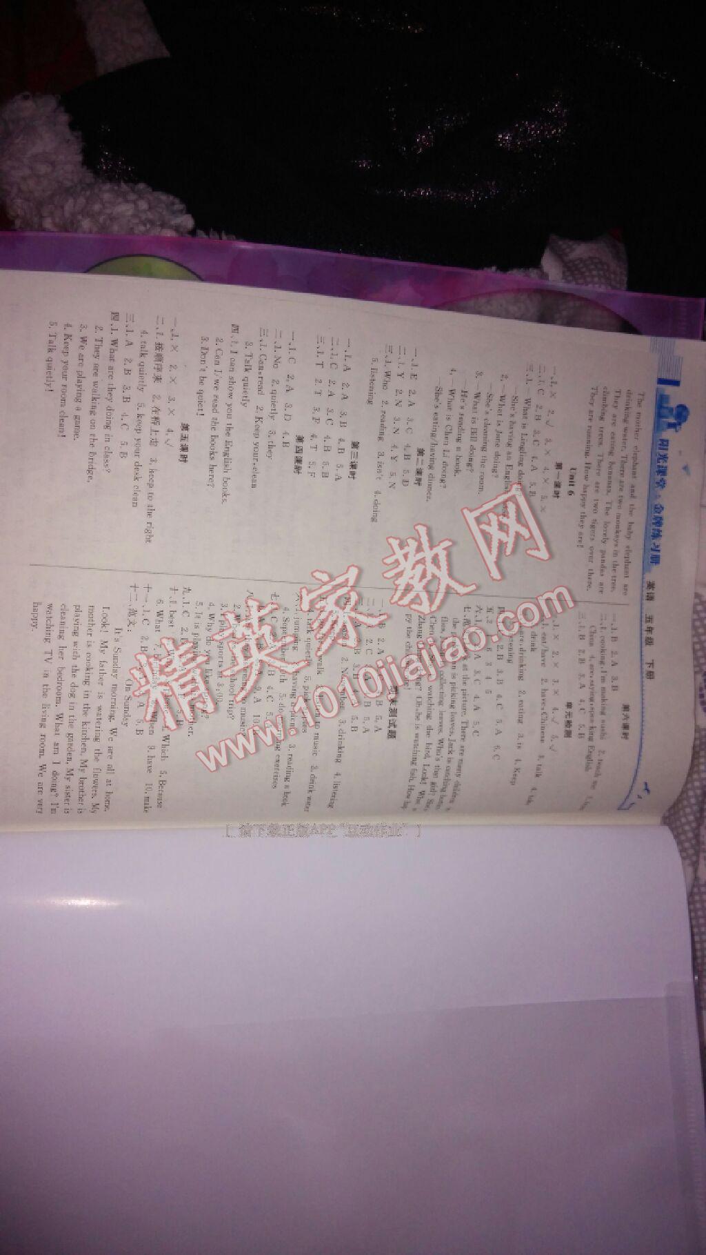 2015年領(lǐng)航新課標(biāo)數(shù)學(xué)練習(xí)冊(cè)五年級(jí)下冊(cè)人教版 第12頁(yè)