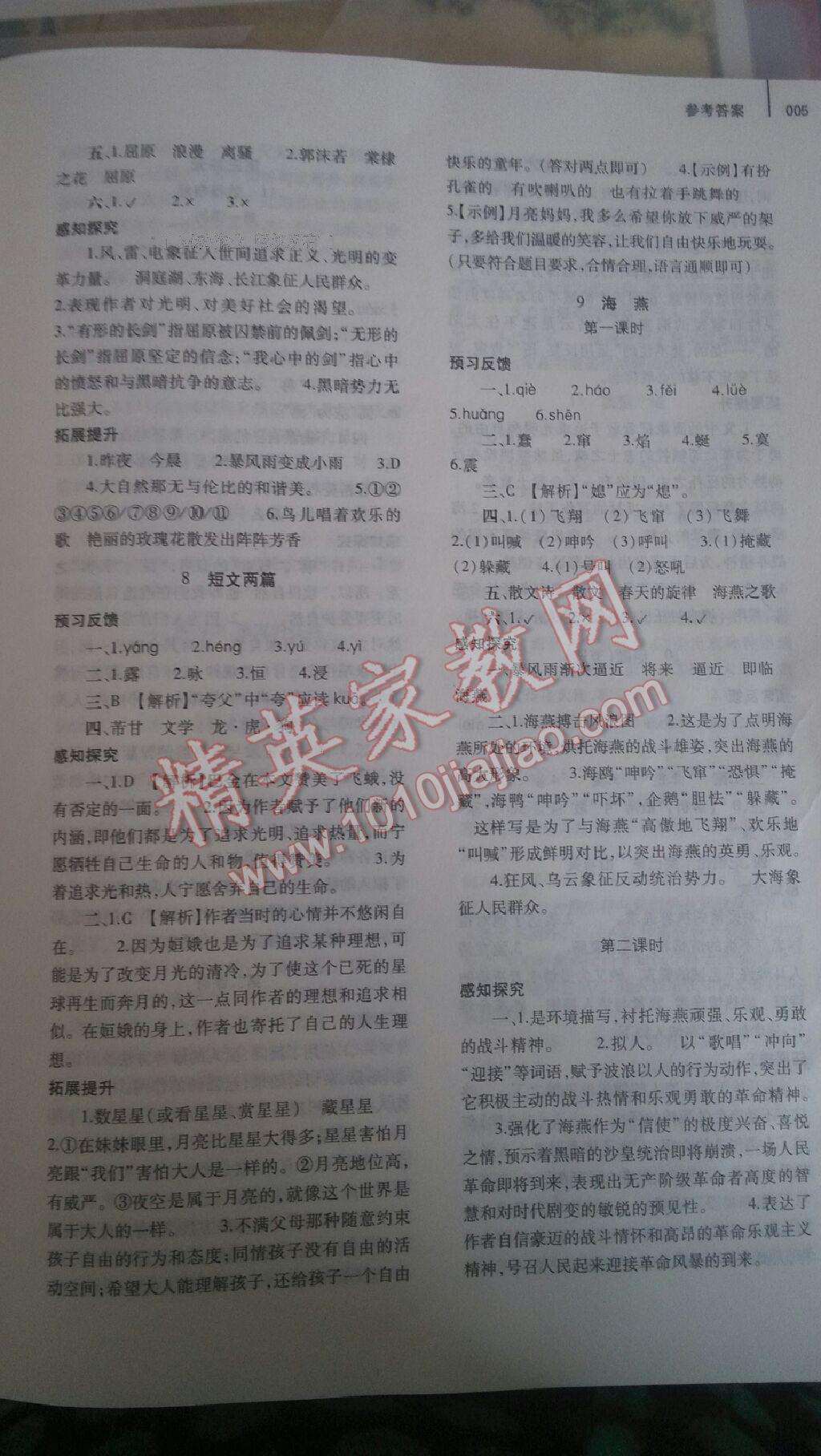 2014年基礎(chǔ)訓(xùn)練八年級語文下冊人教版 第117頁