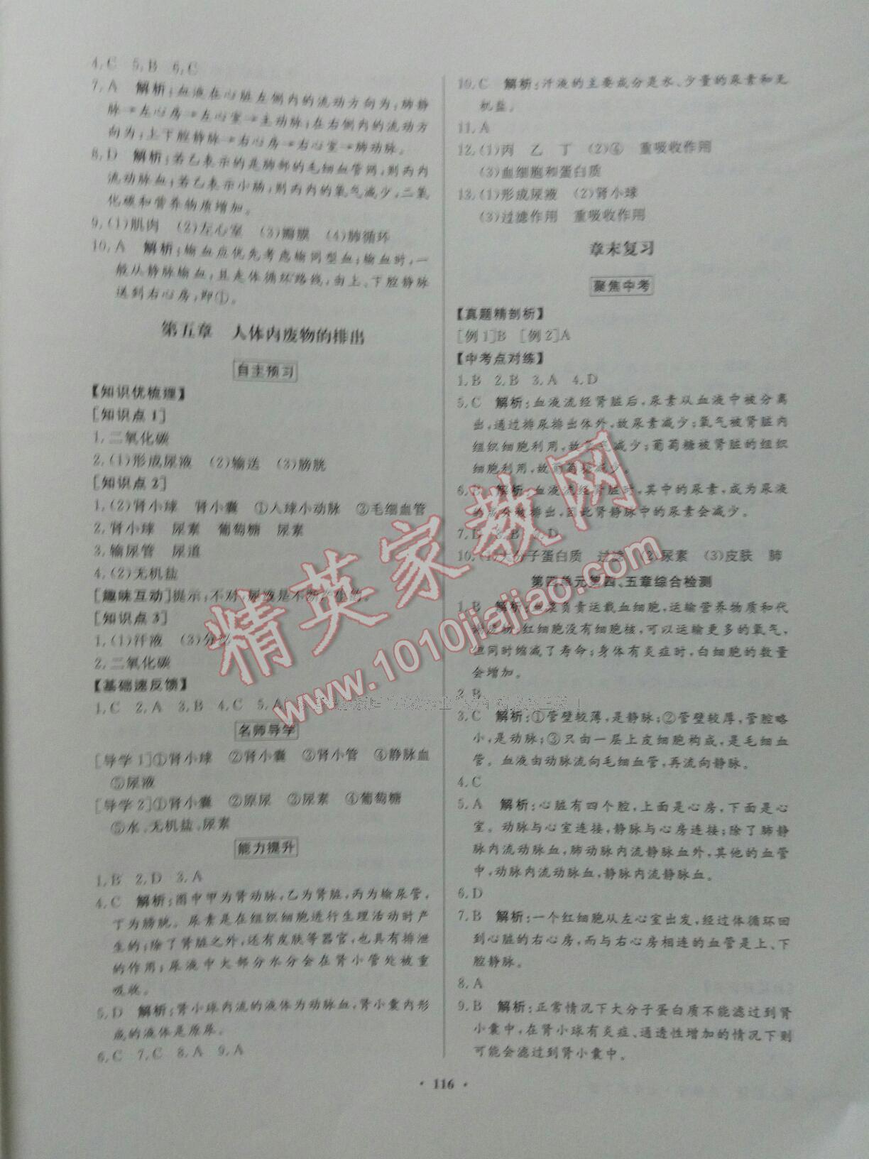 2016年同步导学与优化训练七年级生物学下册人教版 第19页