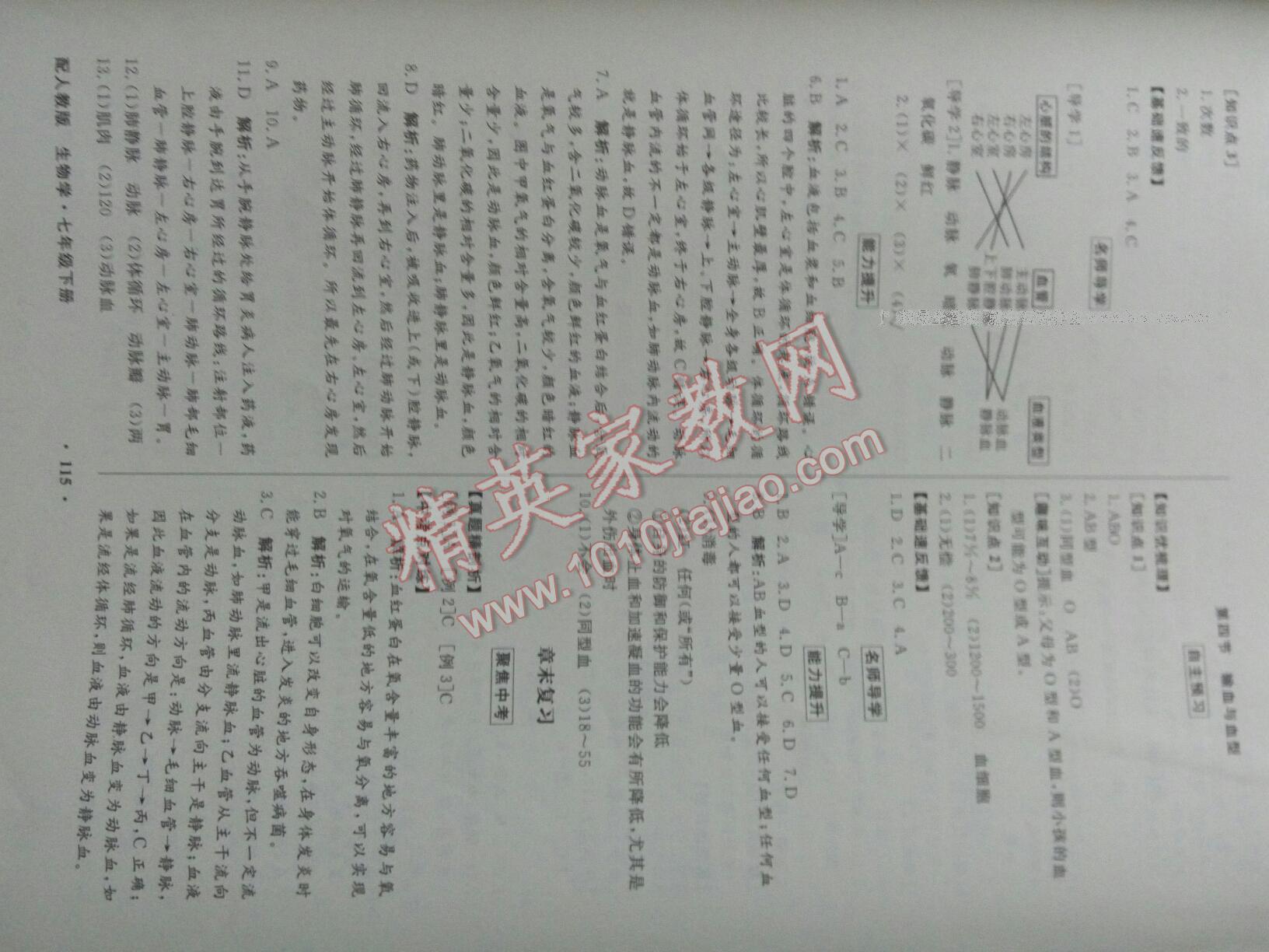 2016年同步导学与优化训练七年级生物学下册人教版 第18页