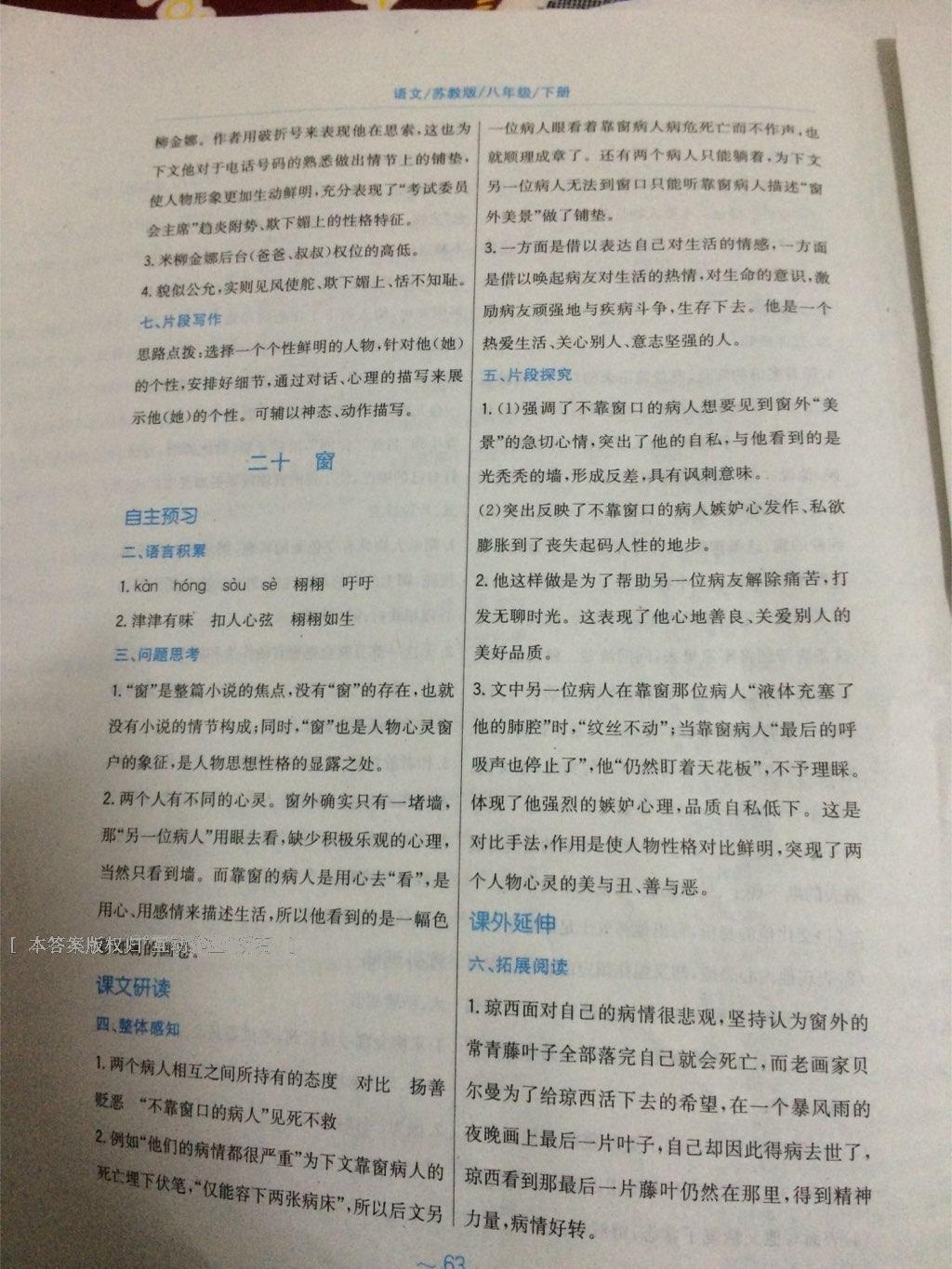 2015年新編基礎(chǔ)訓(xùn)練八年級語文下冊蘇教版 第33頁