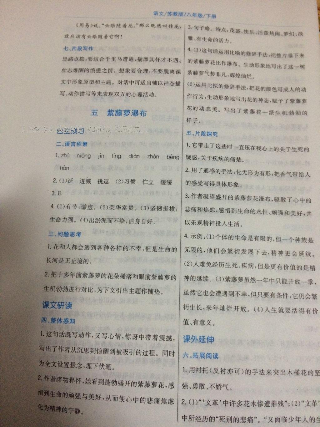 2015年新編基礎(chǔ)訓(xùn)練八年級(jí)語(yǔ)文下冊(cè)蘇教版 第15頁(yè)