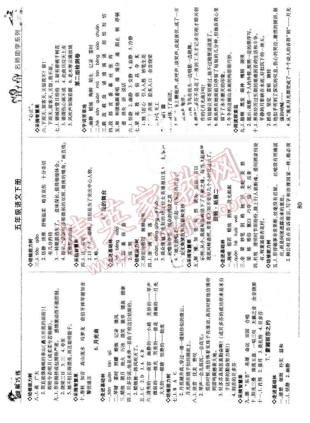 2016年細(xì)解巧練五年級(jí)語(yǔ)文下冊(cè)魯教版 第3頁(yè)