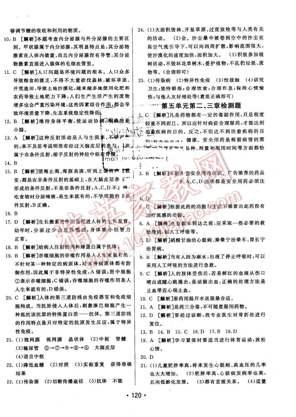 2016年同行學(xué)案七年級生物下冊魯科版 第24頁