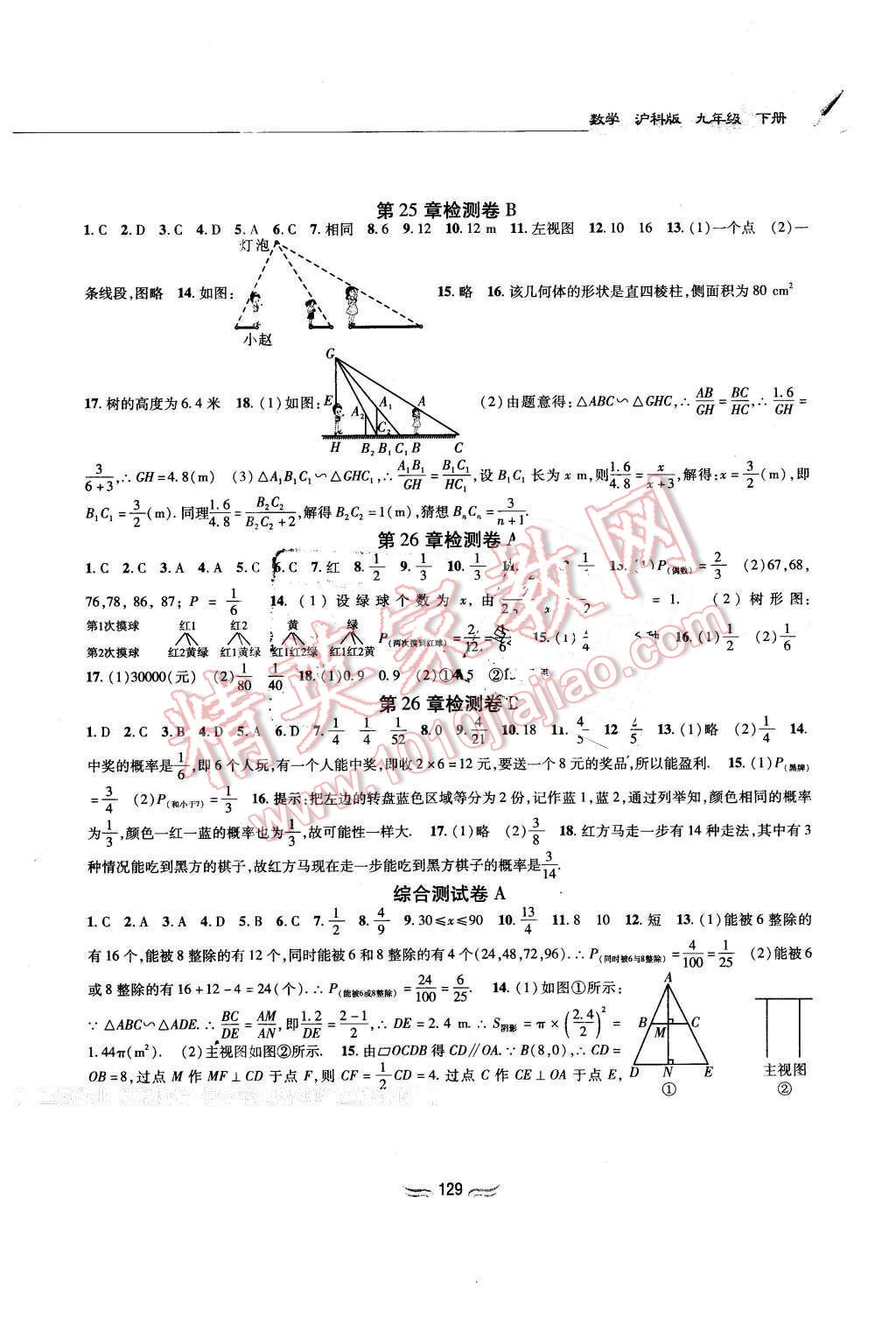 2016年新編基礎訓練九年級數學下冊滬科版黃山書社 第7頁
