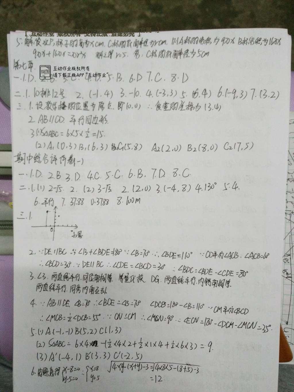 2016年基础训练七年级数学下册人教版河南省内使用大象出版社 达标卷答案第83页