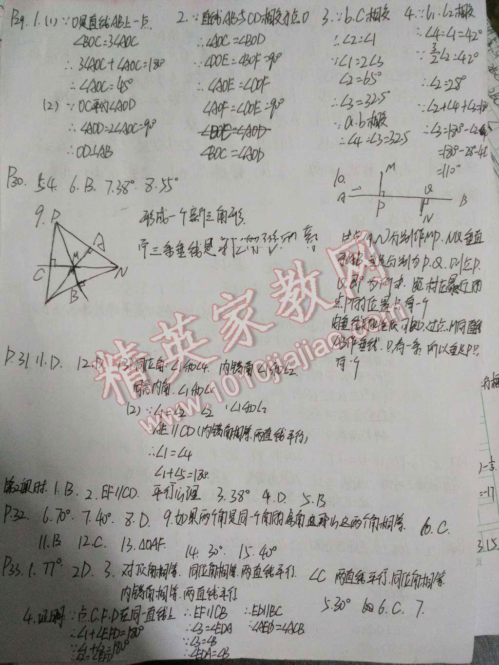 2016年基础训练七年级数学下册人教版河南省内使用大象出版社 第10页