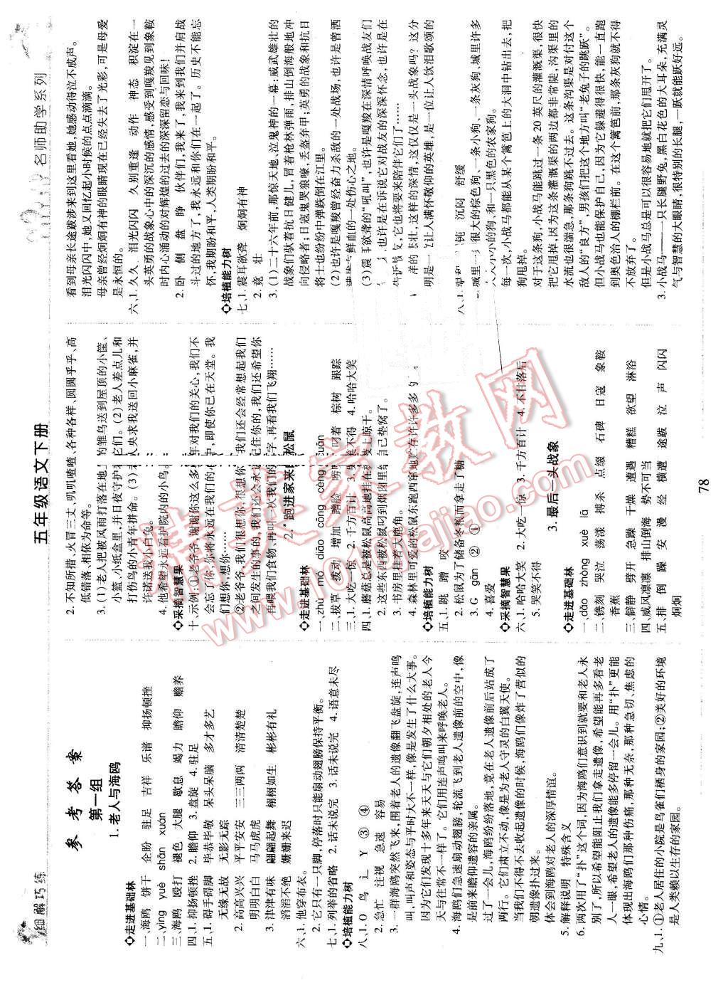 2016年细解巧练五年级语文下册鲁教版 第1页