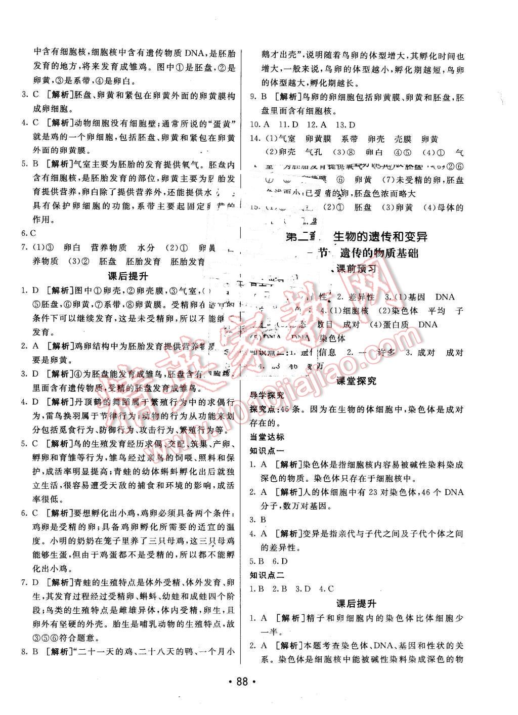 2016年同行學(xué)案八年級生物下冊魯科版 第4頁