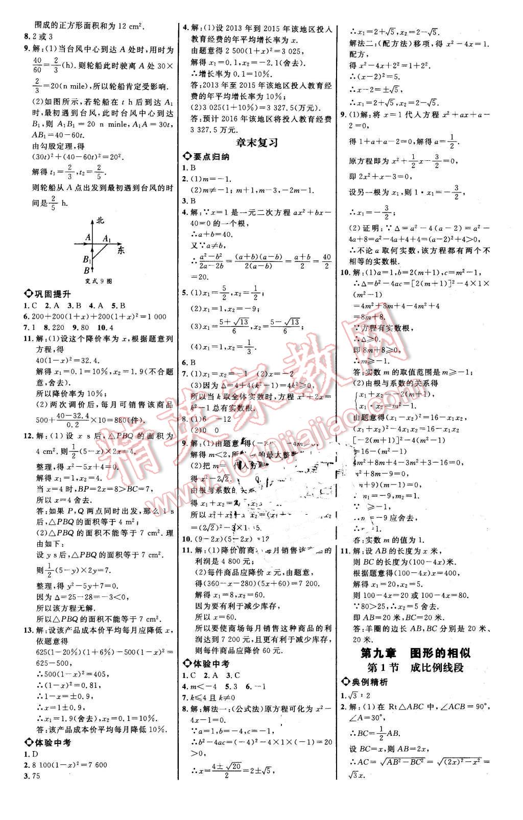 2016年细解巧练八年级数学下册鲁教版 第11页