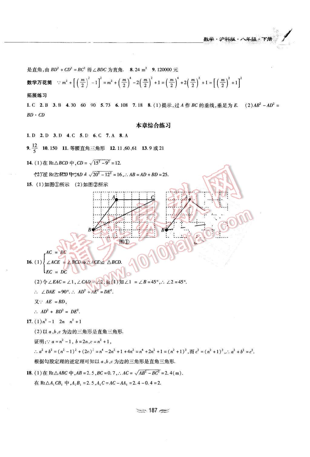 2016年新編基礎(chǔ)訓(xùn)練八年級數(shù)學(xué)下冊滬科版黃山書社 第9頁