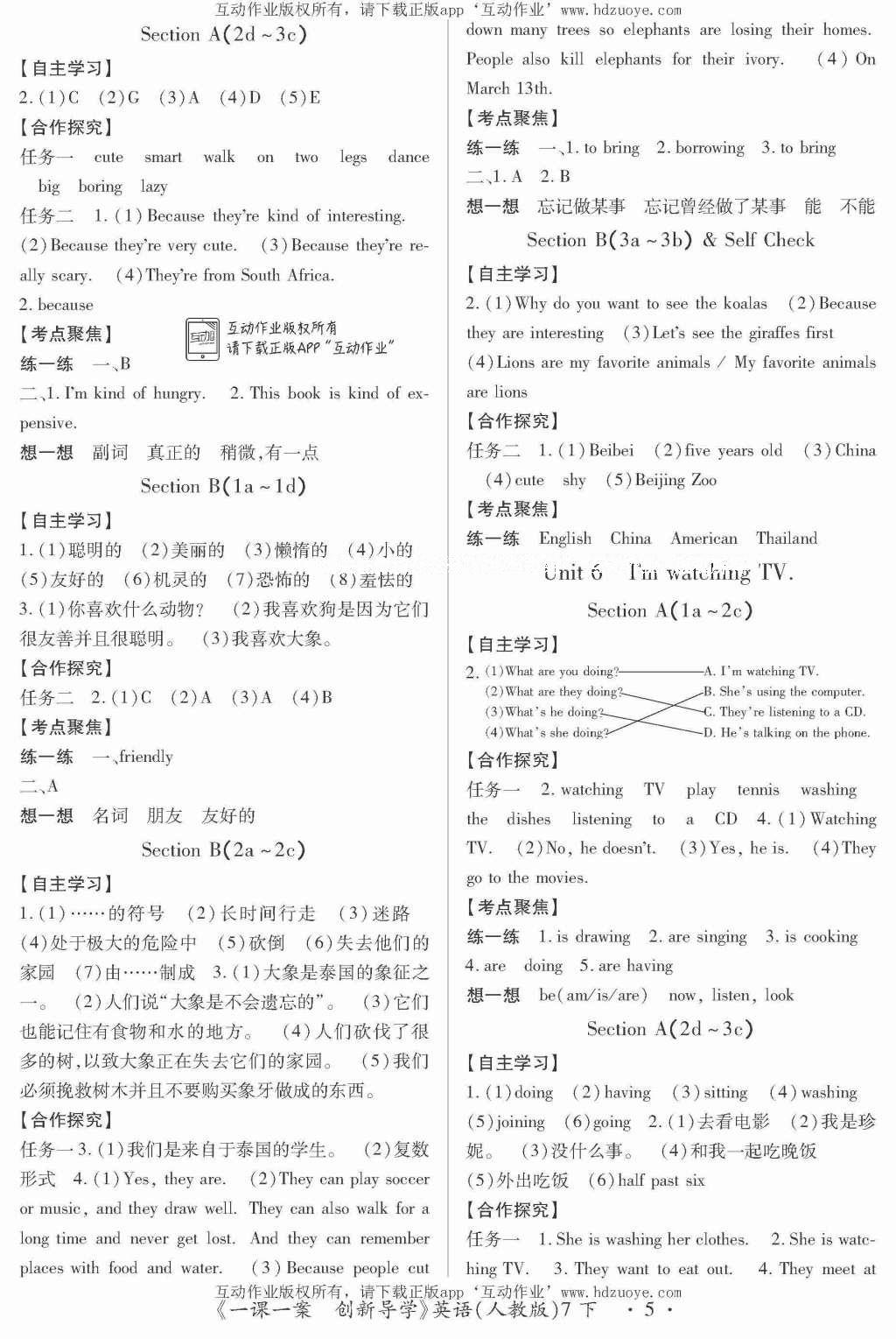 2016年一課一案創(chuàng)新導(dǎo)學(xué)七年級英語下冊人教版 參考答案第13頁