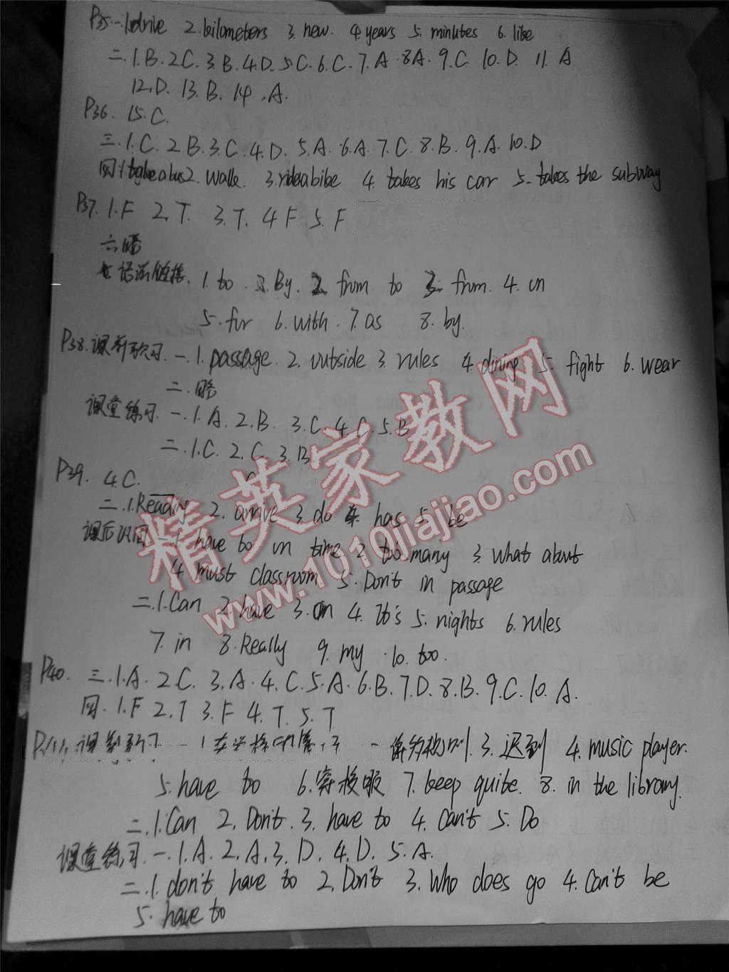 2016年基础训练七年级英语下册人教版仅限河南省内使用大象出版社 第8页