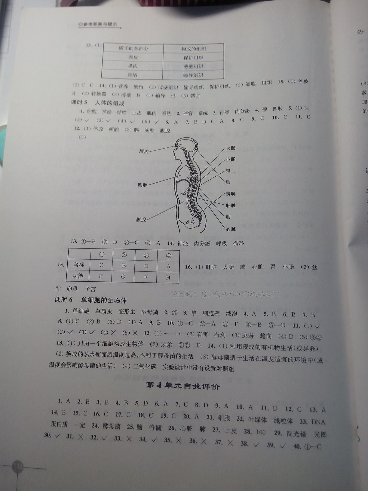 2015年初中生物学课课练七年级下册苏科版 第10页