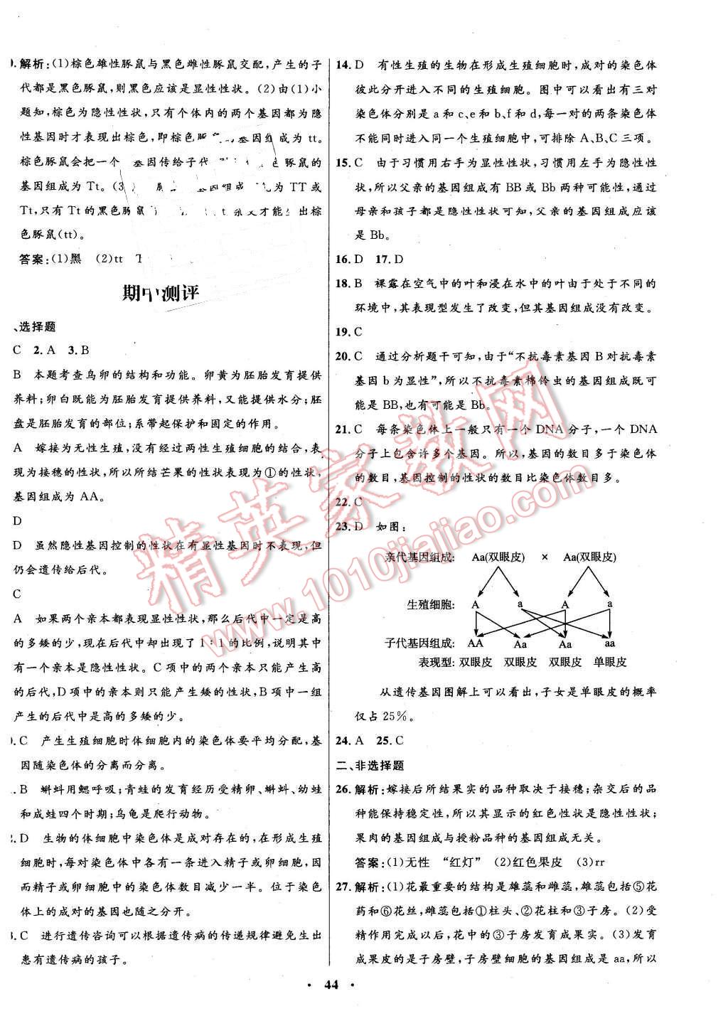 2015年南方新課堂金牌學(xué)案八年級生物學(xué)下冊蘇教版 第20頁