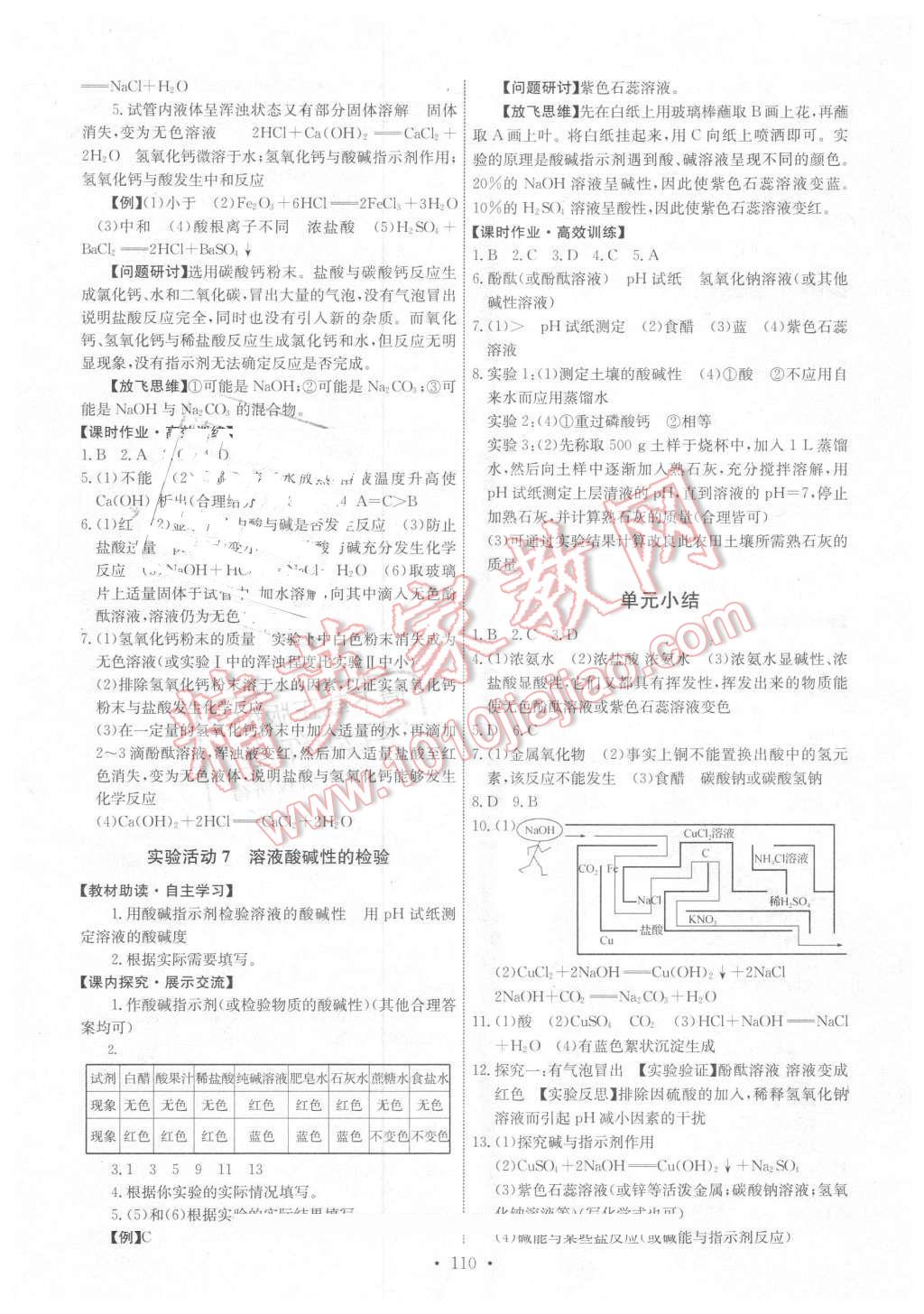 2016年能力培養(yǎng)與測試九年級(jí)化學(xué)下冊人教版 第12頁