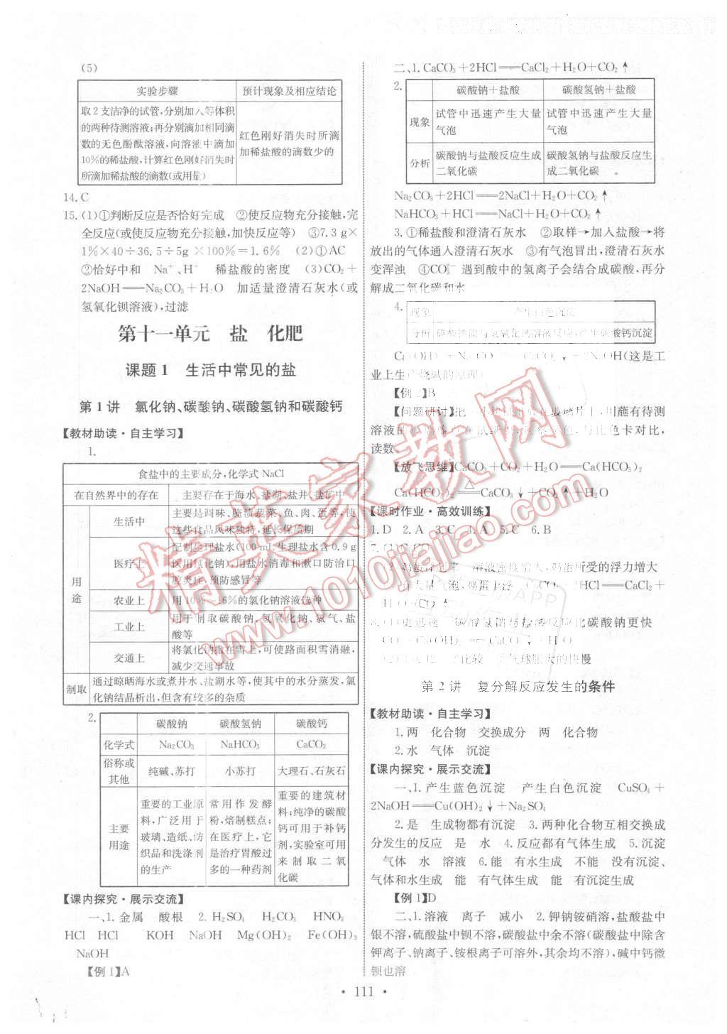 2016年能力培养与测试九年级化学下册人教版 第13页