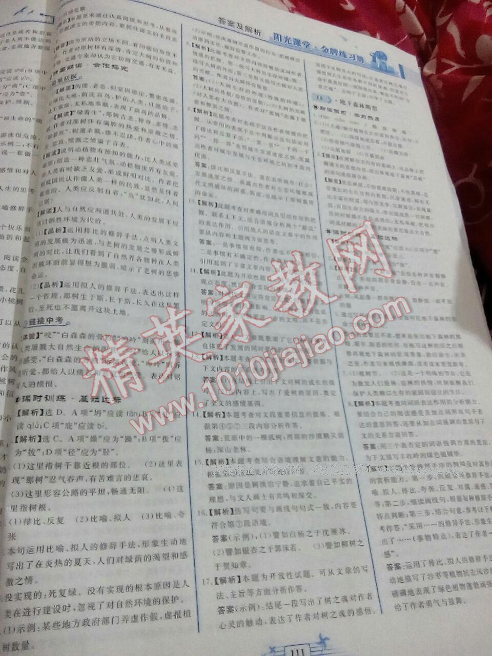 2016年陽(yáng)光課堂金牌練習(xí)冊(cè)九年級(jí)語(yǔ)文下冊(cè)人教版 第29頁(yè)