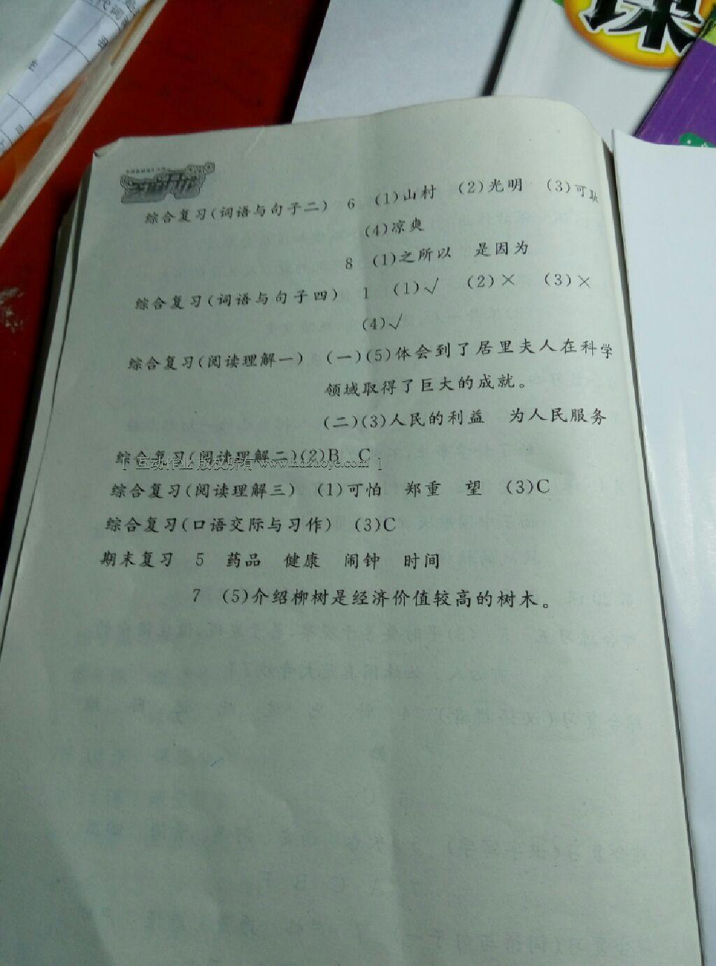 2016年語文作業(yè)本六年級下冊人教版江西教育出版社 第15頁