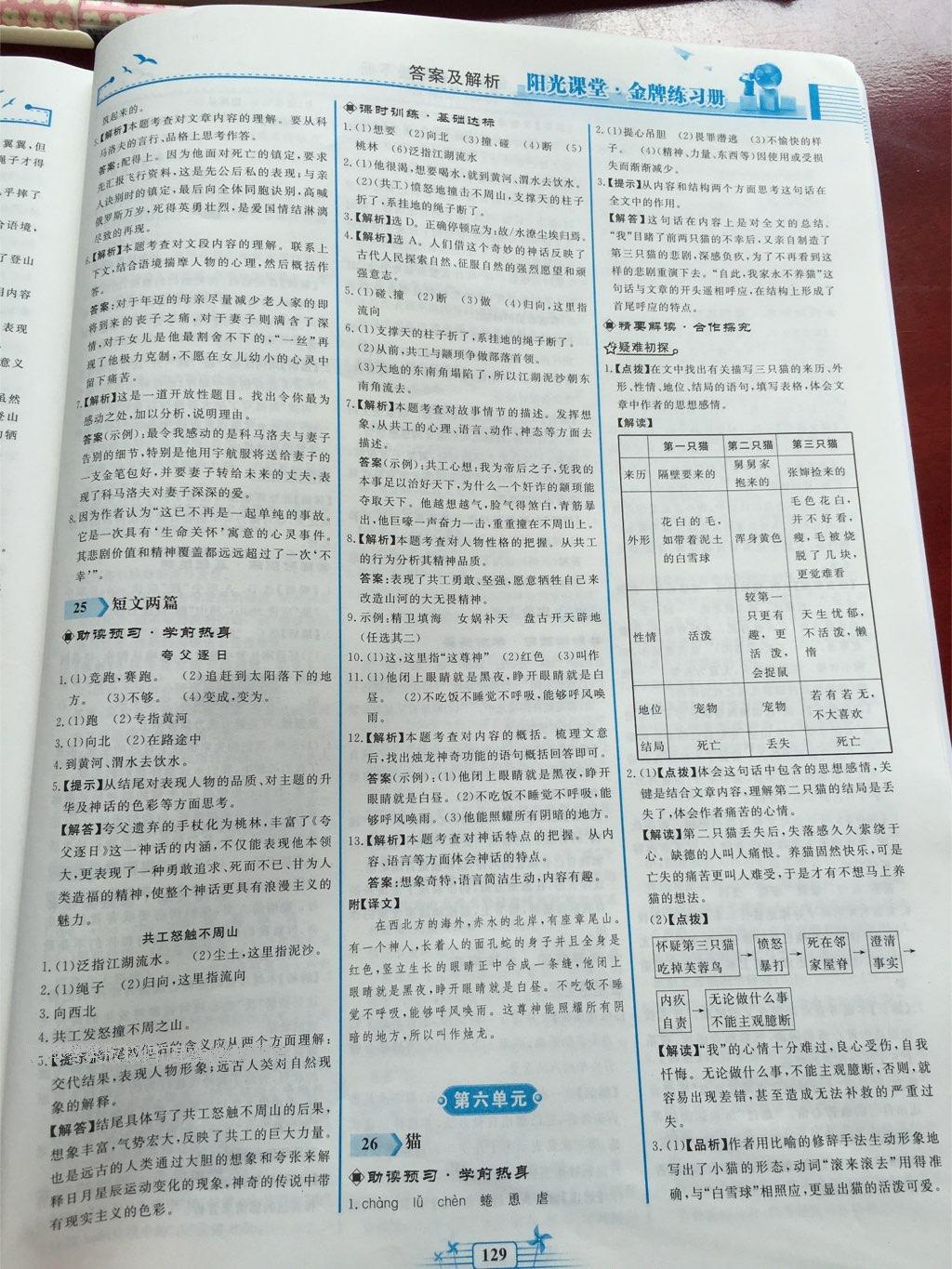 2016年陽(yáng)光課堂金牌練習(xí)冊(cè)七年級(jí)語(yǔ)文下冊(cè)人教版 第100頁(yè)