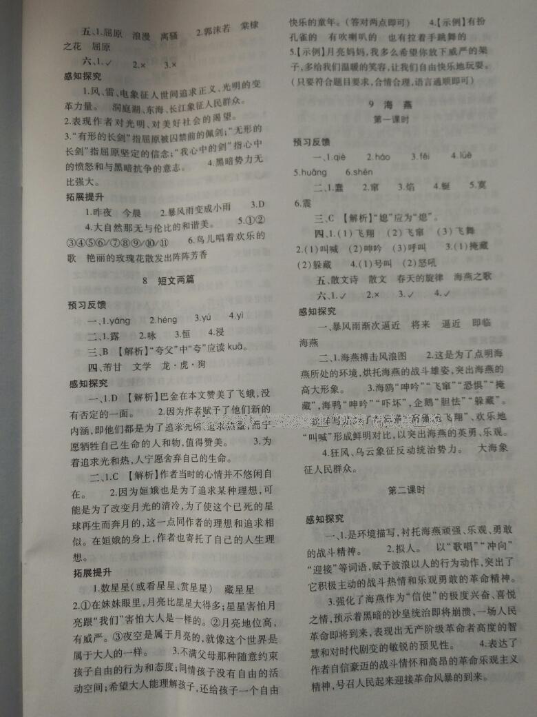 2014年基礎(chǔ)訓(xùn)練八年級語文下冊人教版 第145頁