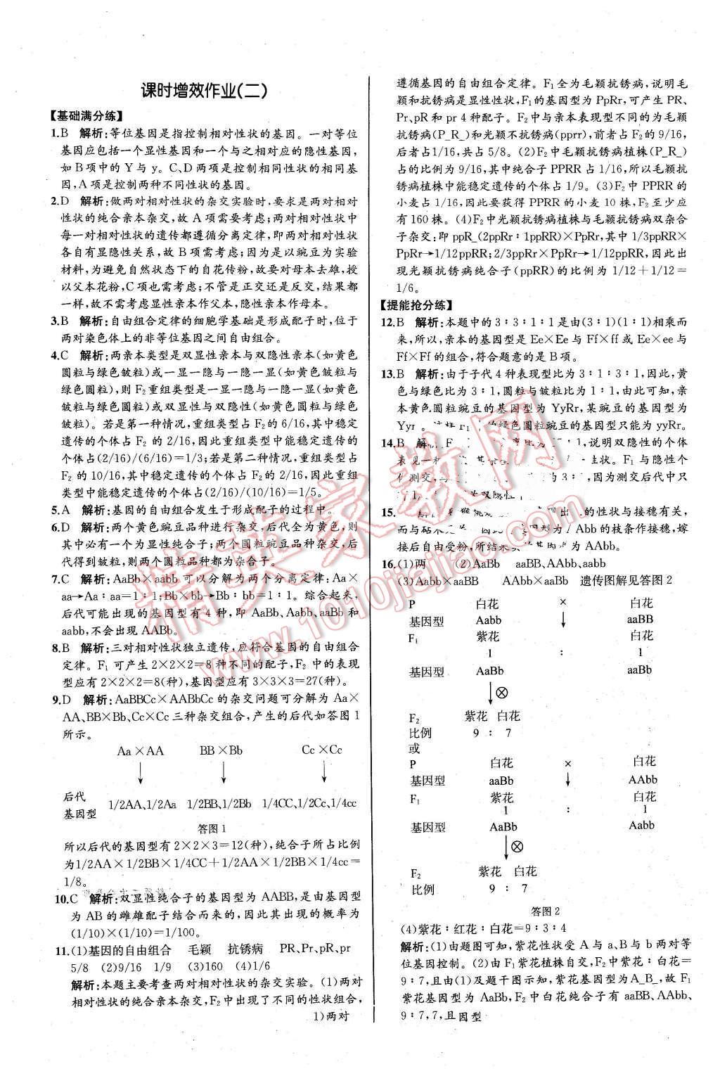 2016年同步導(dǎo)學(xué)案課時練生物必修2遺傳與進化人教版河北專版 第2頁