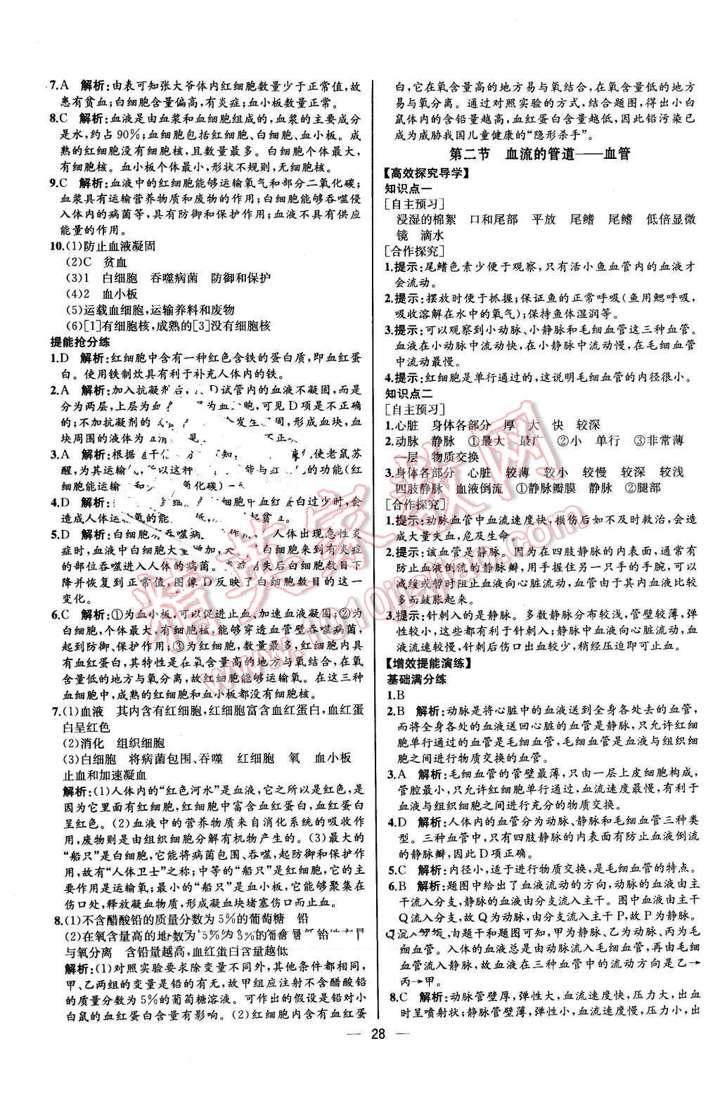 2015年同步导学案课时练七年级生物学下册人教版河北专版 第12页