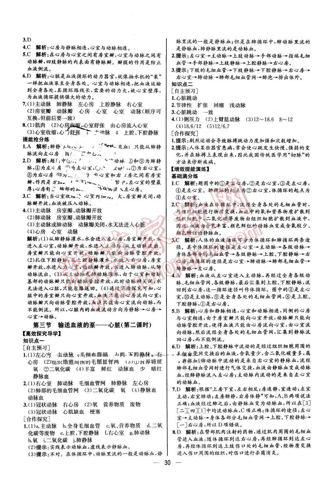 2015年同步导学案课时练七年级生物学下册人教版河北专版 第14页