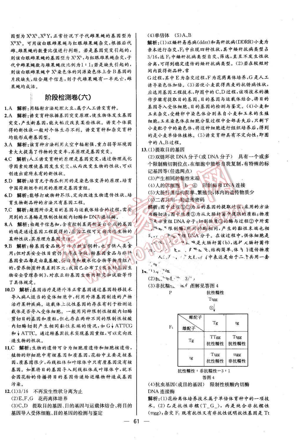 2016年同步導(dǎo)學(xué)案課時(shí)練生物必修2遺傳與進(jìn)化人教版河北專版 第19頁(yè)